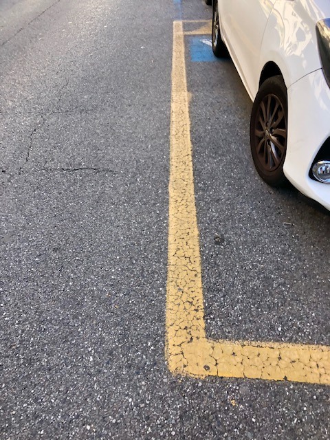 The yellow line