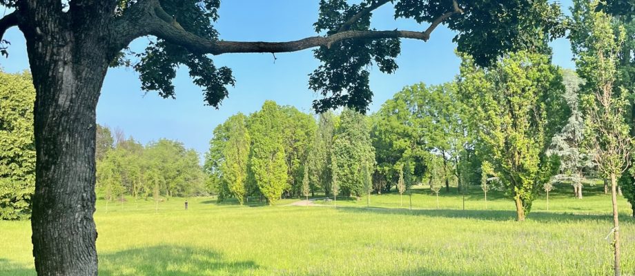 Everything you Need to Know to Explore the Majestic Park of Pellerina in Turin
